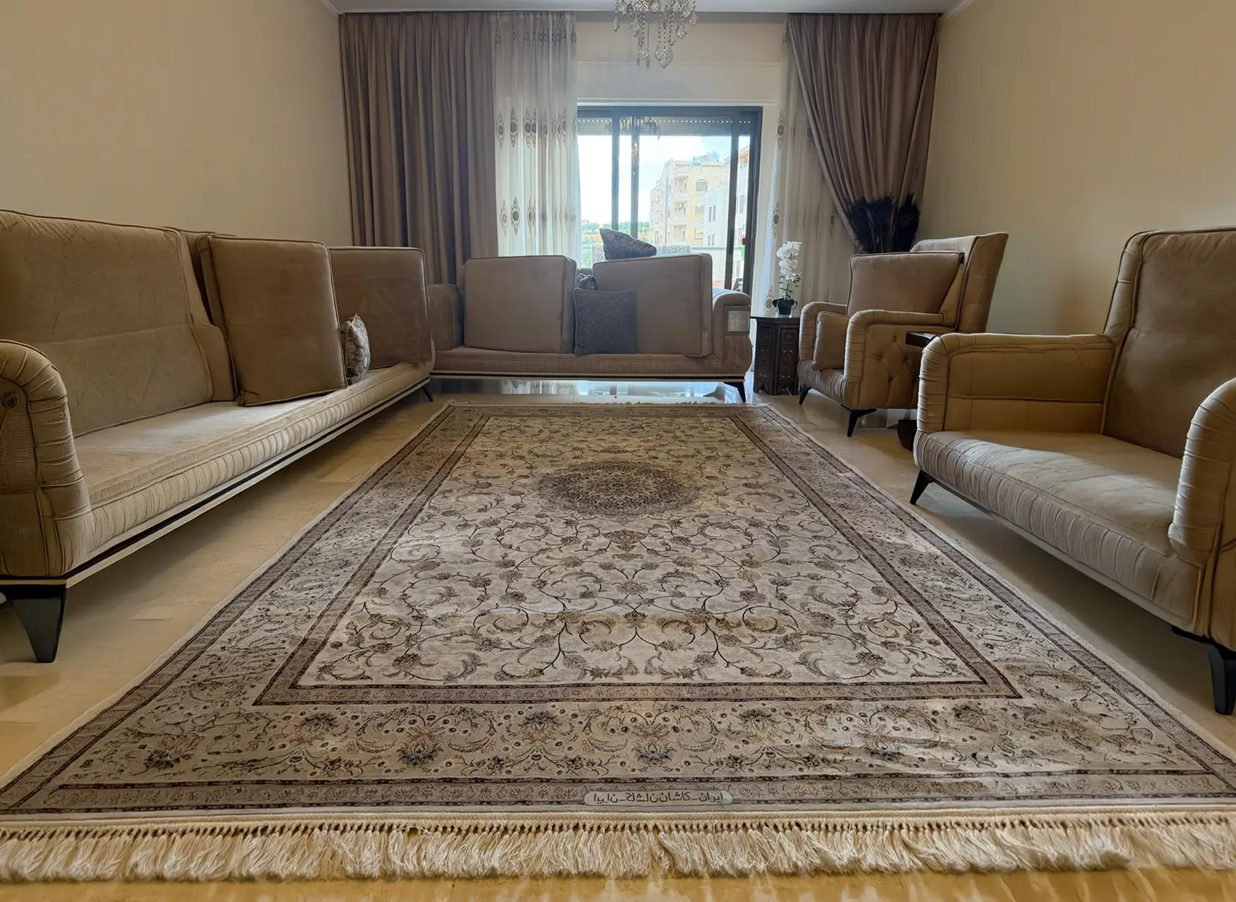Carpet steam and dry cleaning